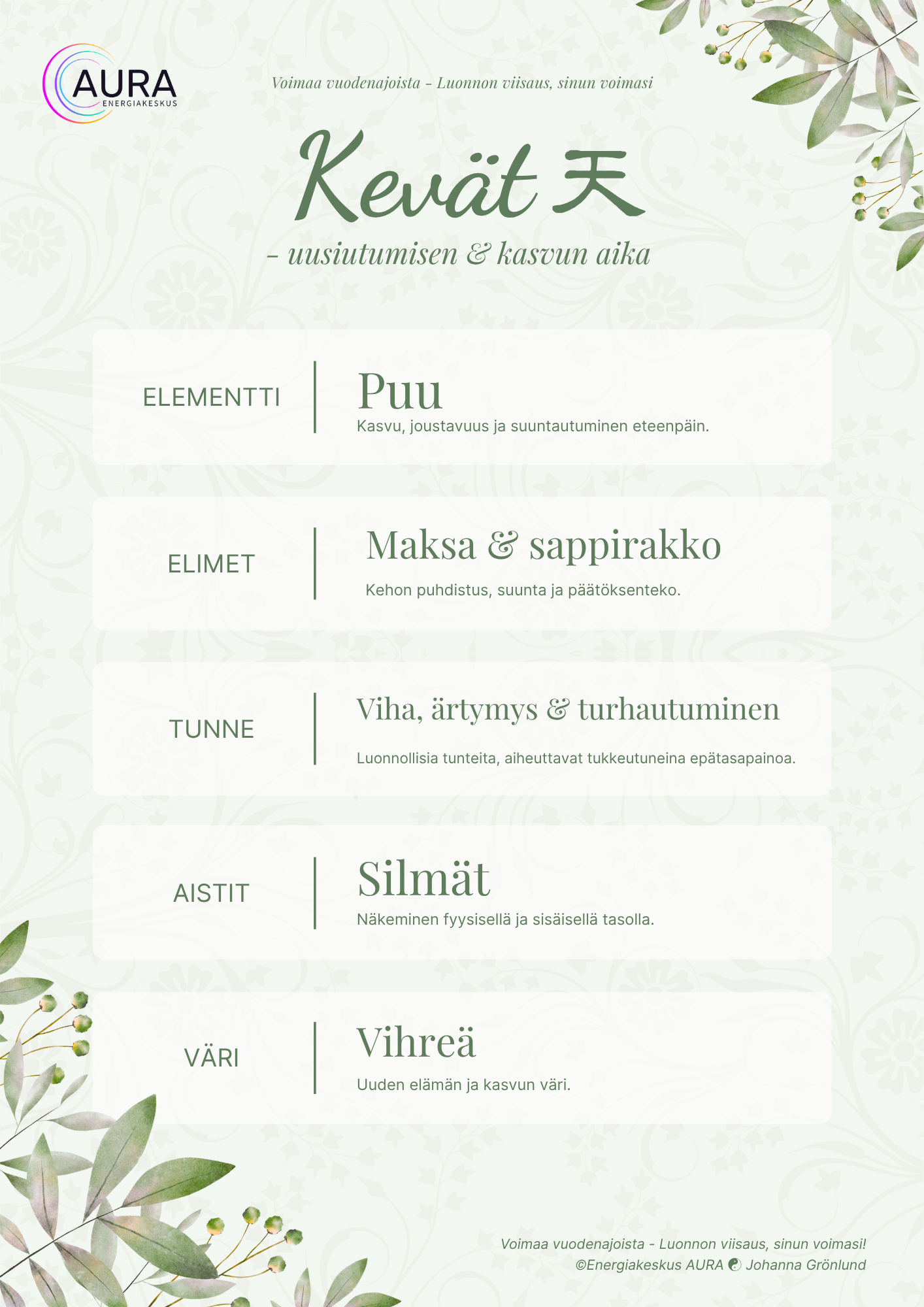 Kaavio kevään elementistä puu ja siihen liittyvistä elimistä, tunteista, aisteista ja väristä kiinalaisen lääketieteen mukaan