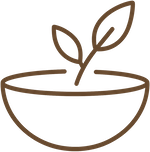 Ruskea kulho ja siitä kasvava verso kahdella lehdellä