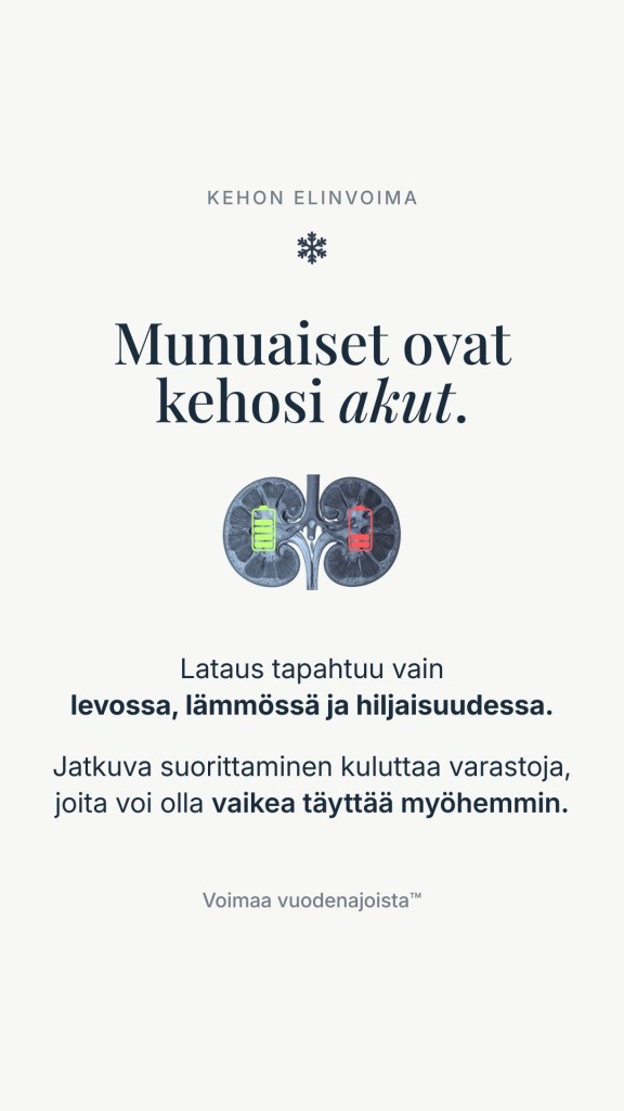 Infograafi, jossa on kuva munuaisista akkusymboleilla ja teksti "Munuaiset ovat kehosi akut. Lataus tapahtuu vain levossa, lämmössä ja hiljaisuudessa."