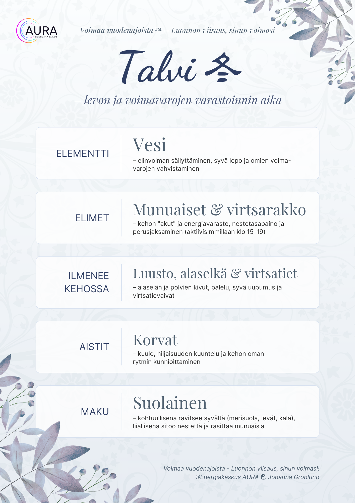 Talvi-infografiikan ensimmäinen sivu, jossa esitellään TCM:n vesielementti, munuaiset ja virtsarakko, talven vaikutus kehoon, korviin ja suolaiseen makuun.