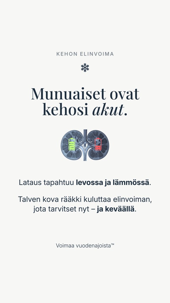 Havainnekuva munuaisista, joiden päällä on akkusymbolit. Teksti: Munuaiset ovat kehosi akut. Lataus tapahtuu levossa ja lämmössä.