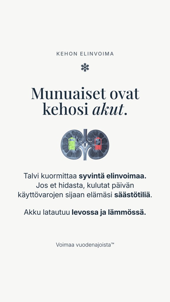 Munuaiset ovat kehosi akut. Talvi kuormittaa kehon syvintä elinvoimaa; akku latautuu levossa ja lämmössä.